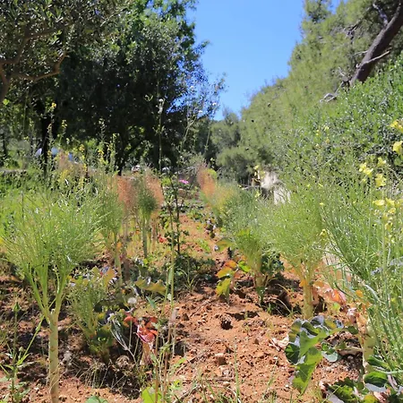 بيت للعطل Secluded Fisherman's Cove Ducac, Brac - 24291