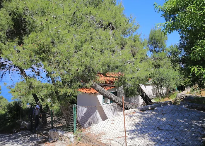 Secluded Fisherman's Cove Ducac, Brac - 24291