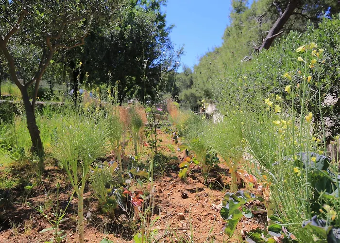 بيت للعطل Secluded Fisherman's Cove Ducac, Brac - 24291
